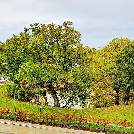 Spacious Balcony View Apt Near Nec Bhx Free Parking Sleeps 4 Хокли-Хит Экстерьер фото